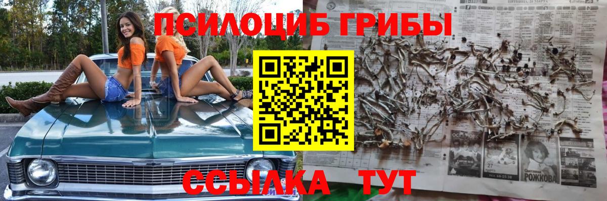 Зима  наркошоп  Вход с VPN  Псилоцибиновые грибы прущие грибы  Галлюциногенные грибы мухоморы 
