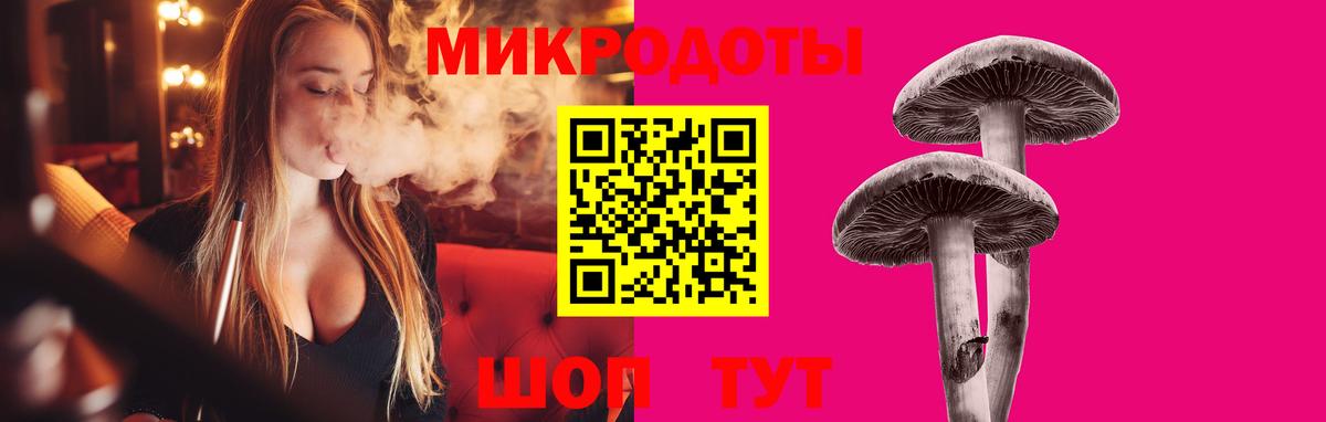 Псилоцибиновые грибы GOLDEN TEACHER Зима